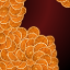Image de Tranches d'orange séchées